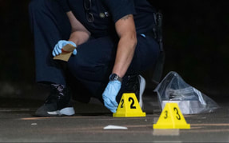 Learn how to process crime scenes with forensic education LLC.